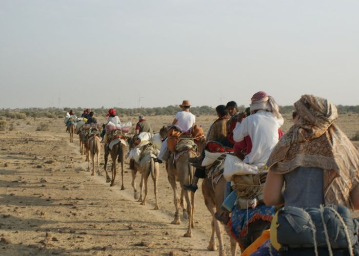 Camel Safari